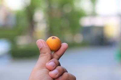 Close-up of hand holding orange fruit