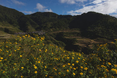 Scenic view of sea and mountains against sky