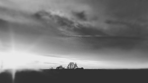 Low angle view of trees against sky