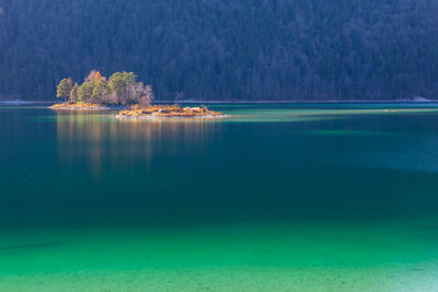 Scenic view of lake against trees