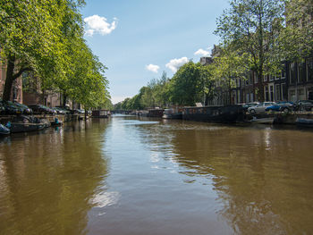 Canal amidst trees against sky