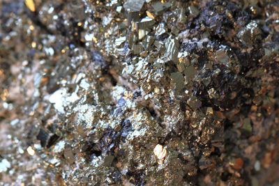 Close-up of a rock