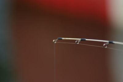 Close-up of drop on metal