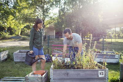 Woman holding watering can while man planting in urban garden