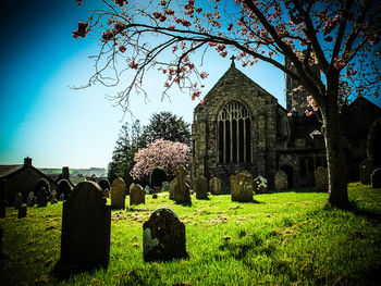 Trees in front of church