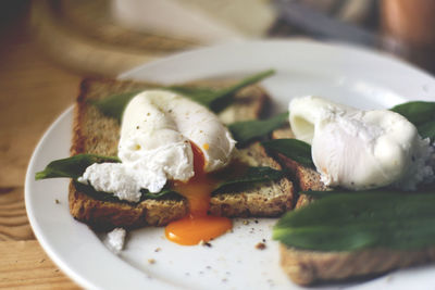 Close-up of food in plate