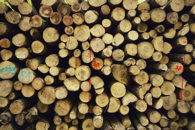 Full frame shot of logs in forest