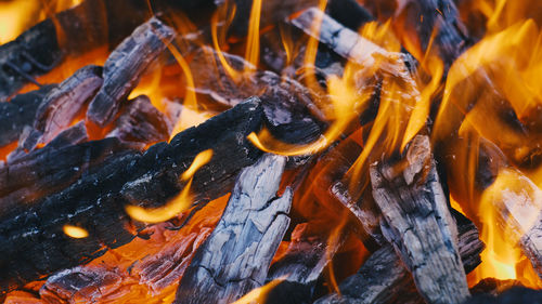 Close-up of burning wood in a fire. red and yellow flames of the fire. wood burning in a 