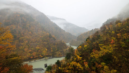 Autumn forest landscape with view of mountain misty valley and river in japan