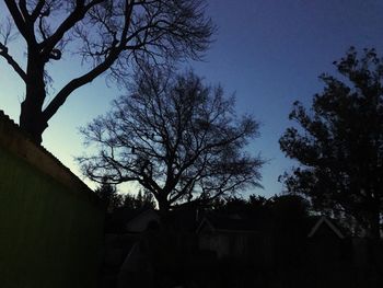 Low angle view of silhouette trees against clear sky