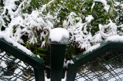 Close-up of snow