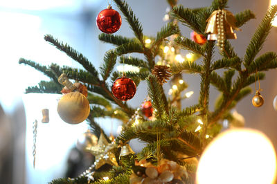 Close-up of christmas tree