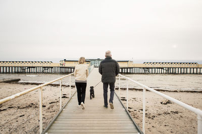 Full length rear view of senior couple walking with schnauzer on boardwalk at beach against clear sky