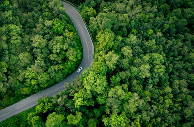 Aerial top view of electric vehicle driving on highway road in green forest. sustainable transport