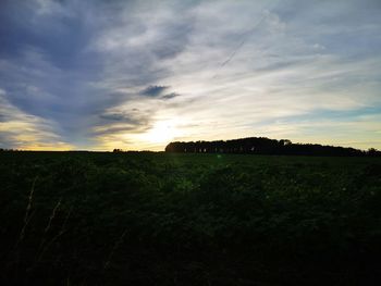 Scenic view of field against sky during sunset