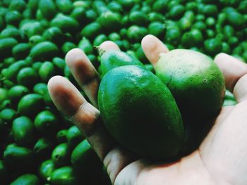 Close-up of hand holding fruit