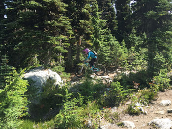 Man riding bicycle on tree in forest