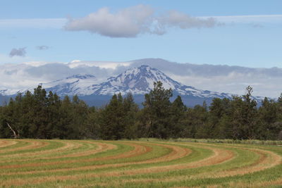 View of deschutes wilderness, bend oregon