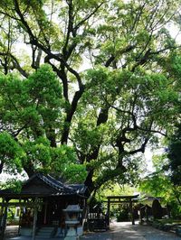 Traditional buildings at park