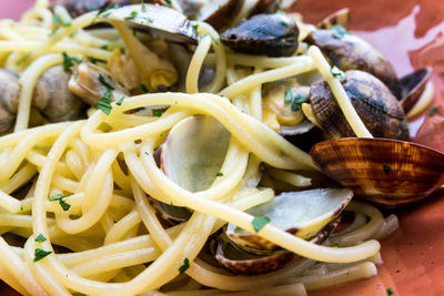 Close-up of noodles with clams served in plate