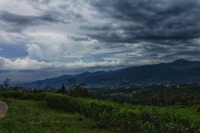 Scenic view of field against cloudy sky
