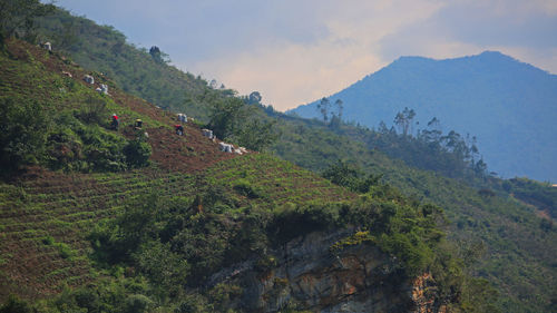 Scenic view of landscape and mountains against sky