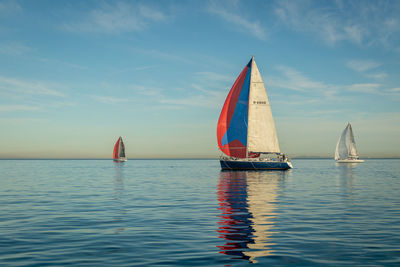 Sailboat sailing in sea against sky