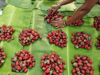 High angle view of hand holding fruits