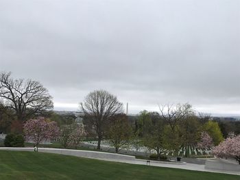 Trees and plants in park against sky