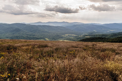 Scenic view of landscape against sky