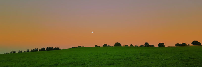 Scenic view of field against orange sky