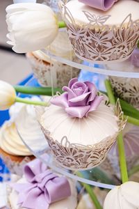 Close-up of pink flowers on table