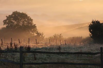 Sunrise in rural kent, uk