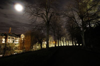 Trees by illuminated building against sky at night