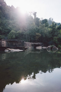 Scenic view of lake in forest against sky