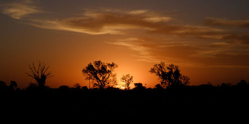 Silhouette trees on field against orange sky