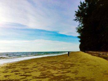 Scenic view of beach against sky