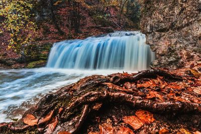 Scenic view of waterfall in forest