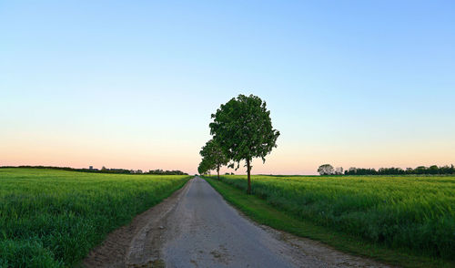 Road amidst agricultural field against clear sky