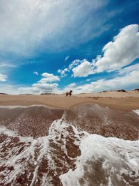 View of dog on land against sky