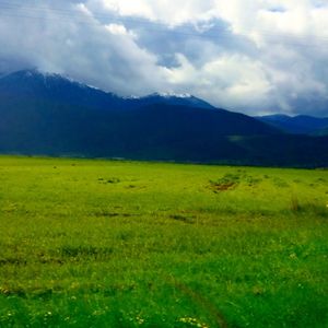 Scenic view of field and mountains against sky