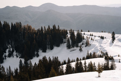 Scenic view of snow covered mountains and cabin against sky