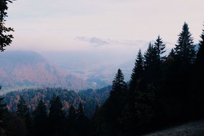 Scenic view of tree mountains against sky during sunset