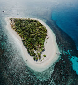 High angle view of plants by sea