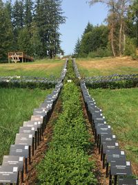 Scenic view of land against sky