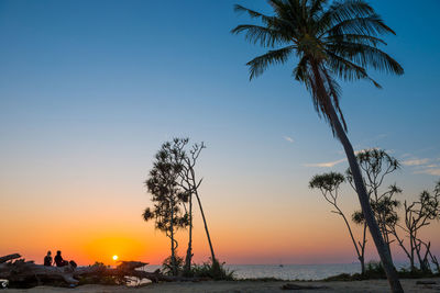 Silhouette palm trees on beach against sky during sunset