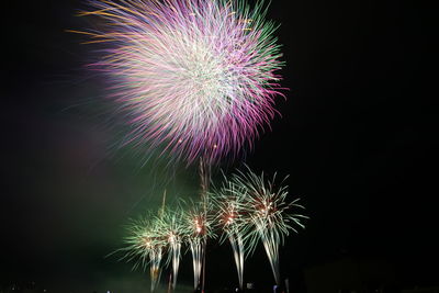 Low angle view of firework display at night