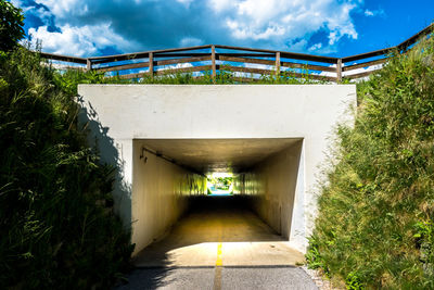 Footbridge amidst plants against sky