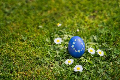 Close-up of easter egg on grass