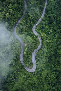 High angle view of road amidst trees in forest